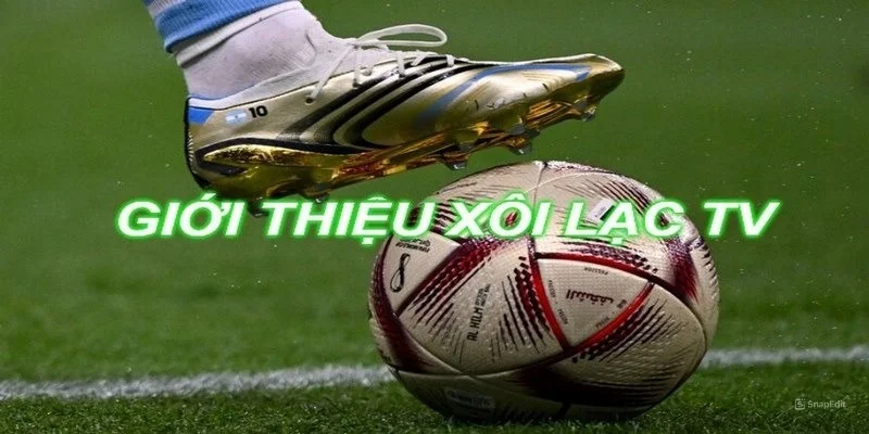 So sánh XoilacTV và CakhiaTV - Đâu là website tốt hơn 2025 2 Sơ lược đôi nét về Xoilactv